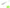 VIBER PAD COLMIC 5&quot; 12.7cm CHARTREUSE PEPPER