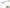 VIBER SHAD COLMIC 3&quot; 7.6cm GHOST CHARTREUSE
