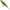 VOBLER DAIWA PROREX LAZY JERK SS LIVE PIKE 9CM 18G