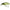 Vobler Daiwa Prorex Micro Minnow, Brown Trout, 3cm, 1.5g