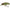 VOBLER DAIWA PROREX MICRO MINNOW, LIVE MINNOW, 3CM, 1.5G