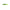 VOBLER DAIWA PROREX MINNOW 13.5CM/18G FIRETIGER