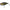 Vobler Jackall Tn50 Trigon Kawashima Sihouette Gold&black 5.2cm 11.2g