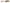 VOBLER RAPALA 07F SKITTER POP