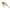 VOBLER RAPALA BX BRAT BIG CULOARE HAY 7CM 21G