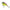 VOBLER RAPALA BX BRAT BIG CULOARE ROC 7CM 21G