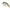 VOBLER RAPALA BX BRAT CULOARE CUP 5CM 11G