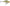 VOBLER RAPALA CLACKIN' RAP 8CM / 25GR YP