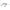 VOBLER RAPALA CRANKIN RAP 3CM YP
