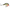 VOBLER RAPALA DIVES-TO FAT 6CM / 14GR BOS