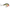 VOBLER RAPALA DIVES-TO FAT 7CM / 18GR BOS