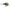 VOBLER RAPALA DIVES-TO FAT 7CM / 18GR S