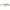 VOBLER RAPALA SCATTER RAP 5CM 5GR  1.2-1.8M