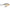 VOBLER RAPALA SCATTER RAP CRANK SHALLOW 7CM / 7GR PNGN