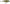 VOBLER RAPALA SCATTER RAP SHAD 5CM PEL