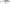 VOBLER RAPALA SCATTER RAP SHAD 5CM S
