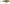 VOBLER RAPALA SCATTER RAP SHAD 7CM PEL
