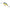 VOBLER RAPALA SHAD DANCER 7 cm 15 g HS