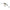 VOBLER RAPALA SHAD DANCER 7 cm 15 g SD
