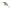 VOBLER RAPALA SHAD DANCER CULOARE ROL 7CM 15G