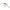 VOBLER RAPALA SHAD DANCER CULOARE RSL 7CM 15G