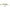 VOBLER RAPALA SHAD RAP 5CM RSL