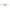 Vobler Rapala Shad Rap 7cm Sfc