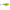 Vobler Rapala Shallow Shad Fp