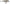 VOBLER RAPALA SHALLOW SHAD RAP 9CM ROL