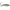 VOBLER RAPALA WEEDLESS SHAD 8CM / 16GR PK
