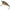 Vobler Rapala X-rap Twitchin Shad Culoare Rol 8cm 13g