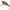 VOBLER RAPALA X-RAP TWITCHIN SHAD CULOARE ROL 8CM 13G