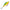 Vobler Rattlin Rapala 05ft