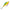 VOBLER RATTLIN RAPALA 05FT