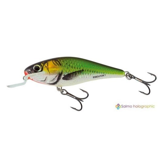 VOBLER SALMO EXECUTOR IEX5SR FLOATING EF 5CM 5G