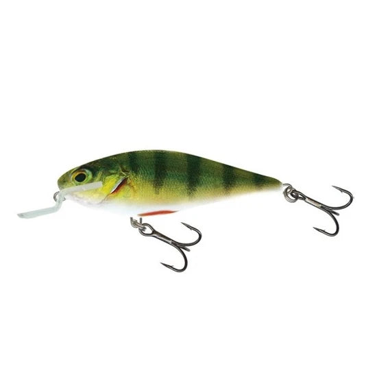 Vobler Salmo Executor Iex5sr Floating Rhp 5cm 5g