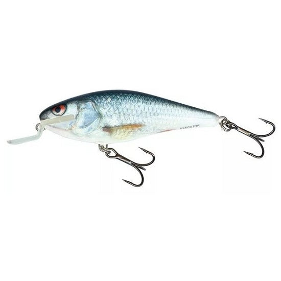 VOBLER SALMO EXECUTOR SHALLOW RUNNER, REAL DACE, 5CM, 5G