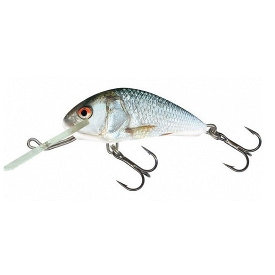 VOBLER SALMO HORNET FLOATING, REAL DACE, 6CM, 10G