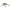 Vobler Salmo Hornet H5s Rs 5cm/8g