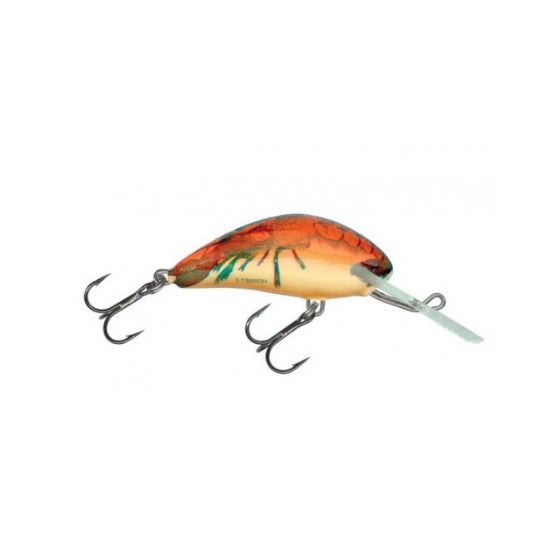 VOBLER SALMO HORNET H5SDR RCW 5CM/7G