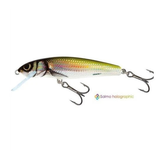 Vobler Salmo Minnow M6f Hbl 6cm/4g
