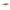 VOBLER SALMO MINNOW M7F RBD 7CM/6G