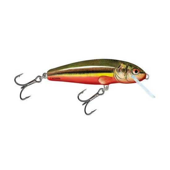 VOBLER SALMO MINNOW M7F RBD 7CM/6G