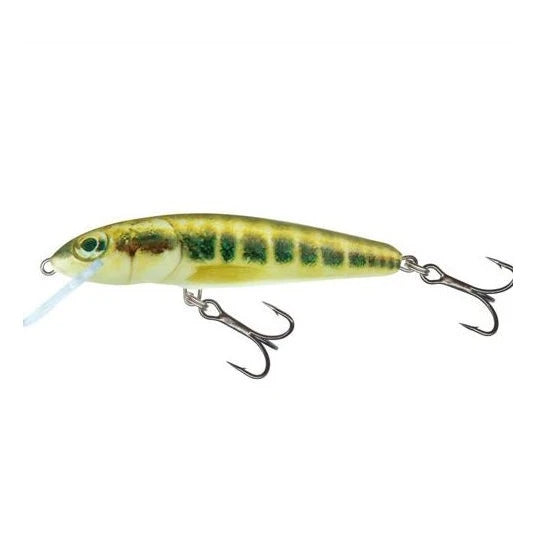 Vobler Salmo Minnow M7s M 7cm 8g