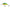 VOBLER SALMO RATTLIN HORNET FLOATING, CHARTREUSE BLUE, 4.5CM, 6G