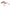 VOBLER SALMO SLIDER SINKING, WOUNDED REAL GREY SHINER, 5CM, 8G