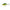 VOBLER SALMO SS4S GREEN TIGER Sparky Shad 040MM Sinking