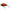 VOBLER SALMO TINY IT3F FLOATING, LADYBIRD, 3CM, 2G