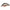 Vobler Strike Pro Baby Pro 3,5cm/3,5g  Ca06es