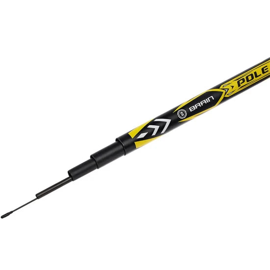 Varga Brain Champ Pole 4.00m, 30-60g, 4seg